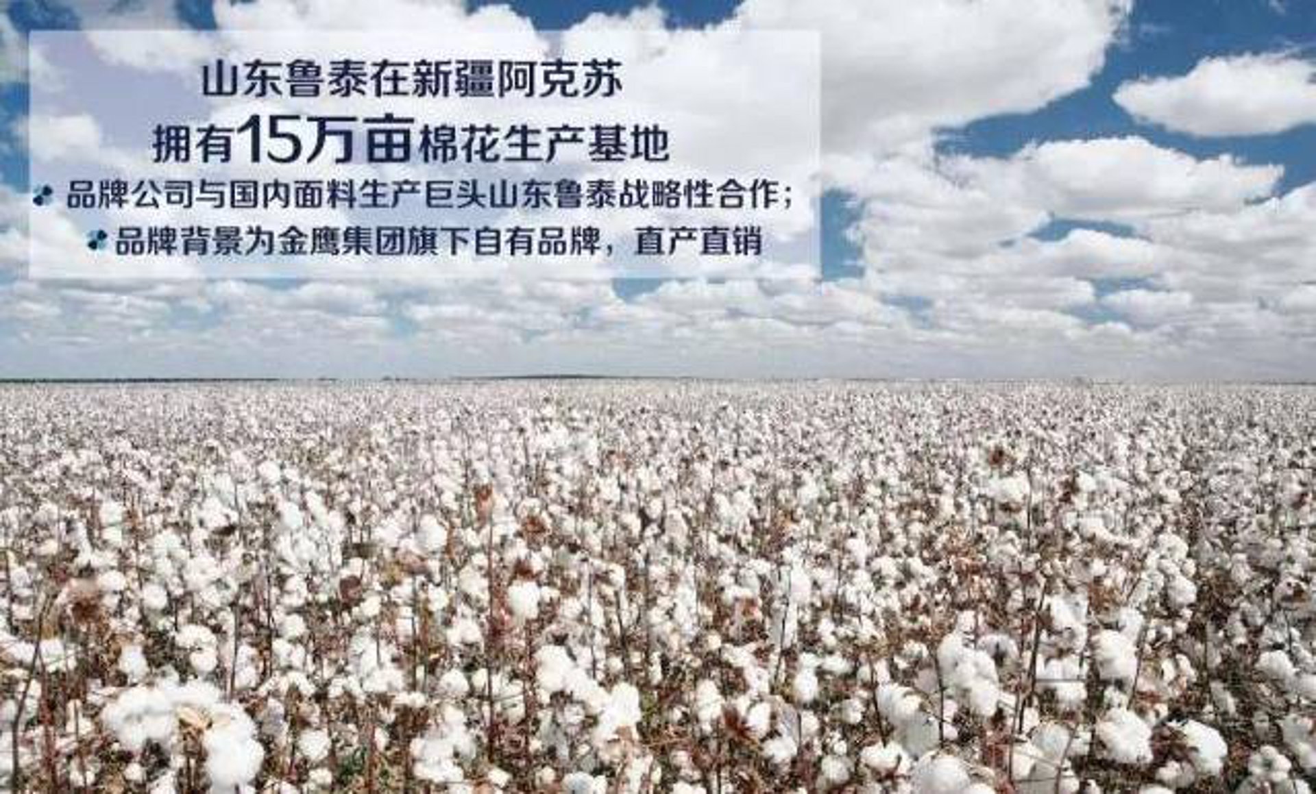 金唐纺织面料